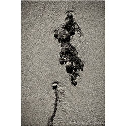 dailyPhoto8